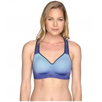 Nike Pro Rival Fade High Support Sports Bra