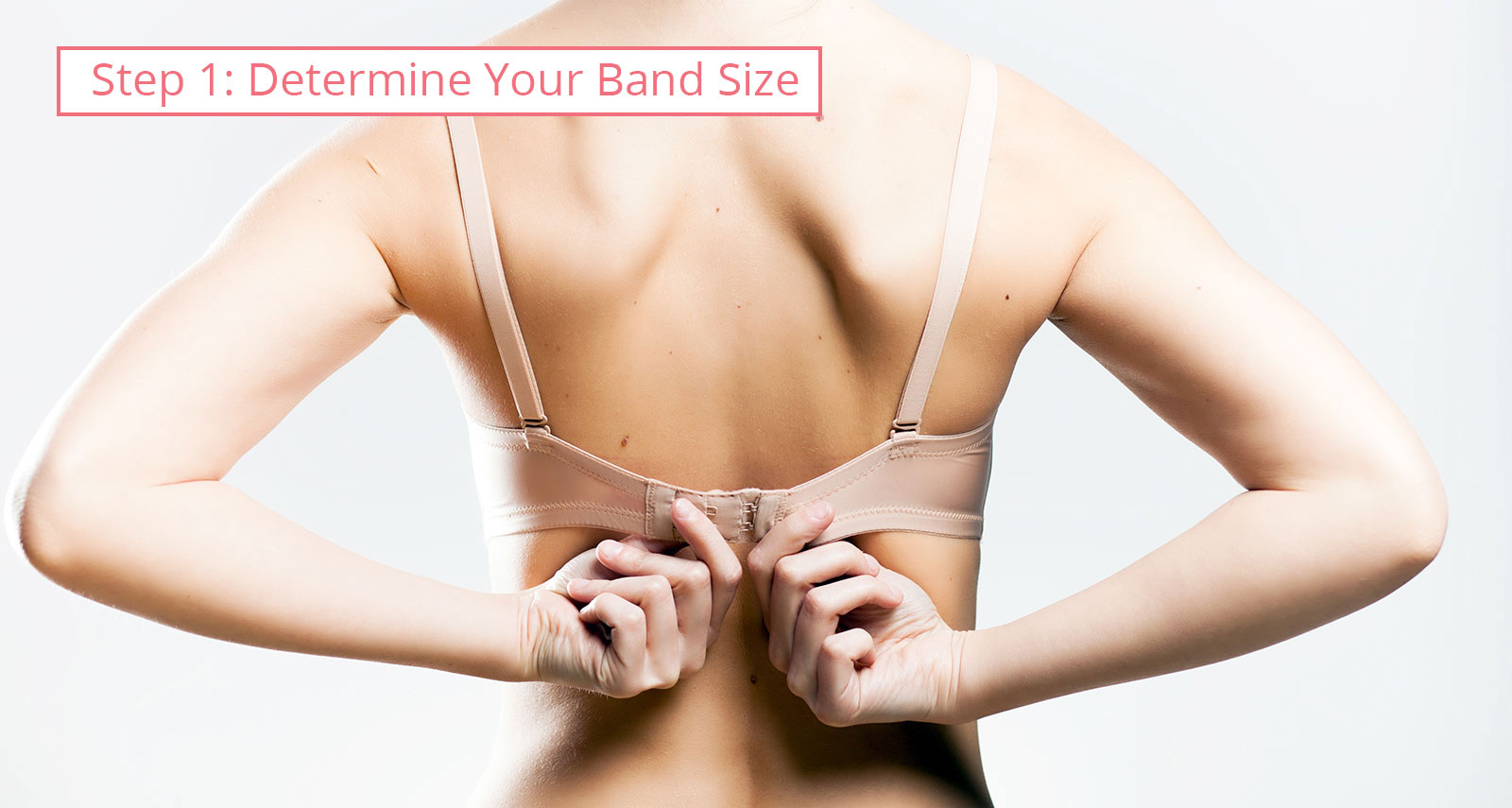 Bra size chart: define the band size